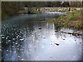NT4835 : Icy pond, Gala Policies by Jim Barton