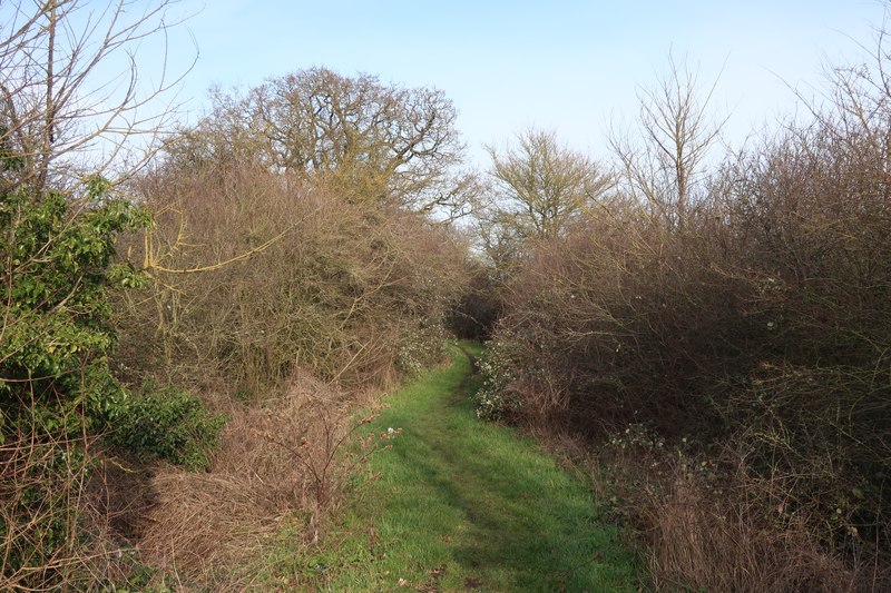 Birch Fen Drove © Hugh Venables cc-by-sa/2.0 :: Geograph Britain and ...