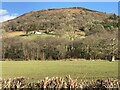 Troed y Rhiw Farm