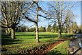 Village green in Bray