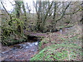 Pompren yn croesi nant / Footbridge crosses a stream