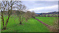 Railway trackbed at Blaisdon