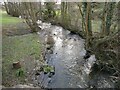 Part of the River Morda from a bridge on Penylan Lane near Oswestry