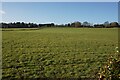 Fields above Grange Road