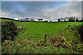 H4075 : Dunwish Townland by Kenneth  Allen