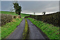 H4075 : Dunwish Road by Kenneth  Allen