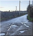 ST5598 : Water-filled potholes, Miss Grace's Lane, Tidenham Chase, Gloucestershire by Jaggery