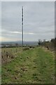 SO6233 : The Ridge Hill transmitter mast by Philip Halling