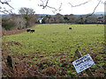 Private farmland, Ditchling