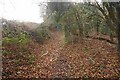 Bridleway along the top of Wymers Wood