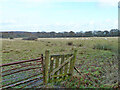 Fields north of Ditchling