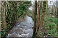 The River Lim on the outskirts of Lyme Regis