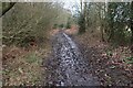 Damp restricted byway