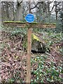 SE1047 : Sign - bottom of Panorama Woods by Mrs W J Sutherland