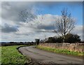 Gaulby Road towards Frisby