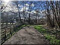 Path in the Osiers Nature Area