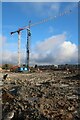 TL4260 : Crane and piling rig, Eddington by Hugh Venables