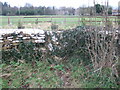 Stone stile West End Farm, Shipton Moyne GS9362