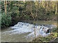 Weir on the Ouse Burn in Jesmond Dene