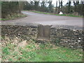 ST8889 : Stone stile Hedgeditch Lane, Shipton Moyne GS9363 by Hugh Tarran