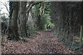 TQ5640 : Tunbridge Well Circular Walk - link path by N Chadwick