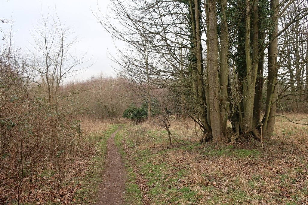 Path near Lynford Water © Hugh Venables cc-by-sa/2.0 :: Geograph ...