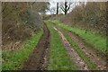 Sweetbrier Drove, approaching Badbury Cottages