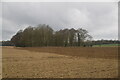 Suffolk farmland