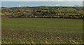 Farms in Cod Brook valley