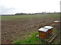 SO8389 : Bee Hive View by Gordon Griffiths