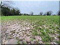 Muddy playing field