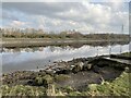 Outfall of Blaydon Burn into the River Tyne