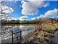 SK5856 : Overflowing pond by Ian Calderwood
