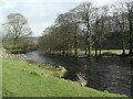 SD8163 : The River Ribble, south of Giggleswick by Christine Johnstone