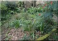 Harleyford Road Community Garden