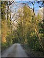 Road to Rhoose Ferry