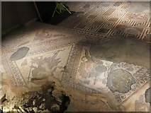 SP0513 : Chedworth Roman villa mosaics by Matthew Chadwick