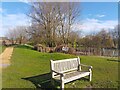 Ladygrove Lake 1 and bench