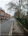 Wiggington Terrace, York