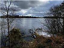 H5776 : Lough Macrory, Altdrumman by Kenneth  Allen