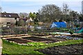 Street : Allotments