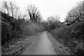 Foss Islands Cycle Path, York