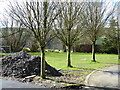 Public footpath across a garden