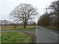 Sutton Lane towards Barmby Moor