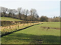 Winter cereals, Easter Bonhard