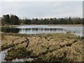 NS9666 : Half Loaf Pond, near Inchcross by M J Richardson