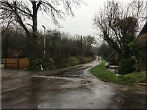 W3845 : Minor road near Shannonvale by Steven Brown