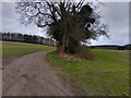 SU5177 : Bridleway towards Banterwick Farm by Oscar Taylor