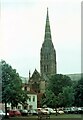SU1429 : Salisbury Cathedral by Martin Tester