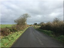 W4451 : L6035 road near Ballinascarty by Steven Brown